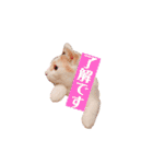 ぜんぶ海ちゃん（個別スタンプ：4）