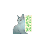 ぜんぶ海ちゃん（個別スタンプ：8）
