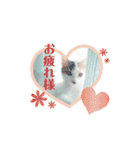 ぜんぶ海ちゃん（個別スタンプ：15）