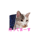 ぜんぶ海ちゃん（個別スタンプ：19）