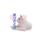 ぜんぶ海ちゃん（個別スタンプ：21）