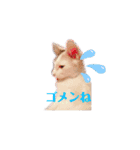 ぜんぶ海ちゃん（個別スタンプ：30）
