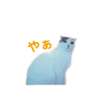 ぜんぶ海ちゃん（個別スタンプ：32）