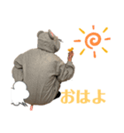 ネズミと私（個別スタンプ：2）