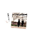 remu2（個別スタンプ：11）
