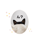 remu2（個別スタンプ：13）