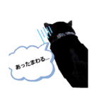 remu2（個別スタンプ：22）