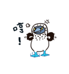 愚かな小さな青い足（個別スタンプ：2）