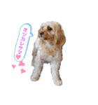 loussier♡♡（個別スタンプ：8）