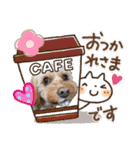 loussier♡♡（個別スタンプ：9）