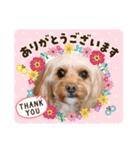 loussier♡♡（個別スタンプ：10）