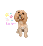 loussier♡♡（個別スタンプ：11）