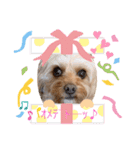 loussier♡♡（個別スタンプ：15）