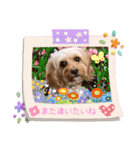 loussier♡♡（個別スタンプ：16）