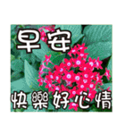 花-暖かい心の長老（個別スタンプ：2）