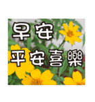 花-暖かい心の長老（個別スタンプ：3）