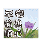 花-暖かい心の長老（個別スタンプ：5）