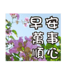 花-暖かい心の長老（個別スタンプ：7）