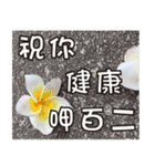 花-暖かい心の長老（個別スタンプ：28）