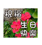 花-暖かい心の長老（個別スタンプ：29）