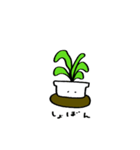 植物と植木ばち（個別スタンプ：27）