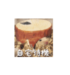 もちおすたんぷ（個別スタンプ：1）