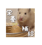 もちおすたんぷ（個別スタンプ：4）