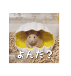 もちおすたんぷ（個別スタンプ：6）