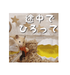 もちおすたんぷ（個別スタンプ：8）