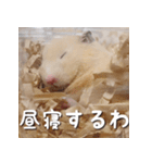 もちおすたんぷ（個別スタンプ：9）