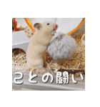 もちおすたんぷ（個別スタンプ：12）