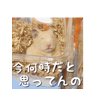 もちおすたんぷ（個別スタンプ：18）