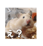 もちおすたんぷ（個別スタンプ：20）