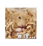 もちおすたんぷ（個別スタンプ：22）