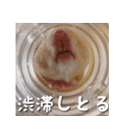 もちおすたんぷ（個別スタンプ：26）