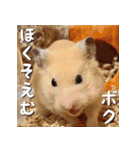 もちおすたんぷ（個別スタンプ：27）
