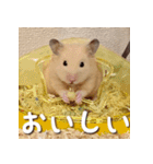もちおすたんぷ（個別スタンプ：32）