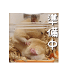 もちおすたんぷ（個別スタンプ：33）