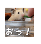 もちおすたんぷ（個別スタンプ：34）