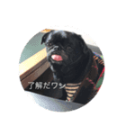 そらそらパワー（個別スタンプ：1）