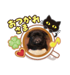 そらそらパワー（個別スタンプ：4）