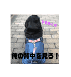 そらそらパワー（個別スタンプ：6）