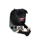 そらそらパワー（個別スタンプ：7）