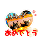 フレンチブル Vertu ＆ Mare（個別スタンプ：17）