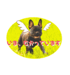 フレンチブル Vertu ＆ Mare（個別スタンプ：20）