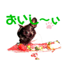 フレンチブル Vertu ＆ Mare（個別スタンプ：21）