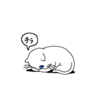 貧血気味なオッドアイの白ねこ（個別スタンプ：7）