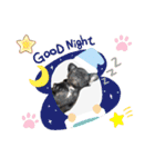 フレブルブリンドル しゃるちゃん（個別スタンプ：3）