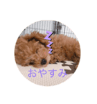 むぎちゃんです！（個別スタンプ：2）