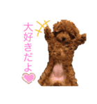 むぎちゃんです！（個別スタンプ：4）